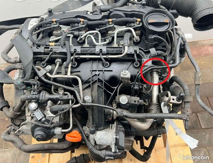 Suppression EGR pour TDI CR Common Rail / Rampe Commune 1.2 1.6 2.0